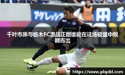 太阳成集团tyc